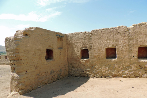 From Paracas: Tambo Colorado Inca Complex Tour