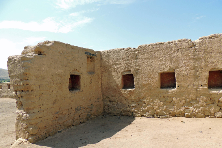 From Paracas: Tambo Colorado Inca Complex Tour
