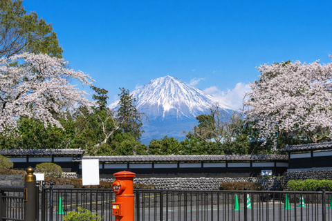 Tokyo: Mt. Fuji Private Scenic Tour with Customizable Stops
