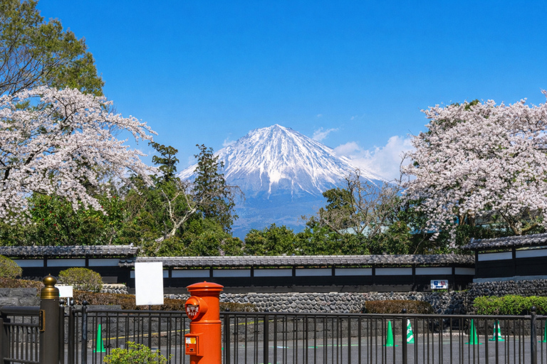 Tokyo: Mt. Fuji Private Scenic Tour with Customizable Stops