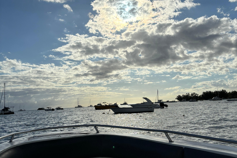 Morning at sea: Dolphins, Mauritian breakfast, natural aquarium, Cristal Rock