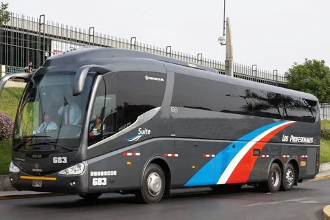 Depuis Lima : bus direct pour Paracas - Ica