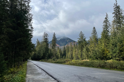 Transfere do hotel em Zakopane para Palenica (Morskie Oko)