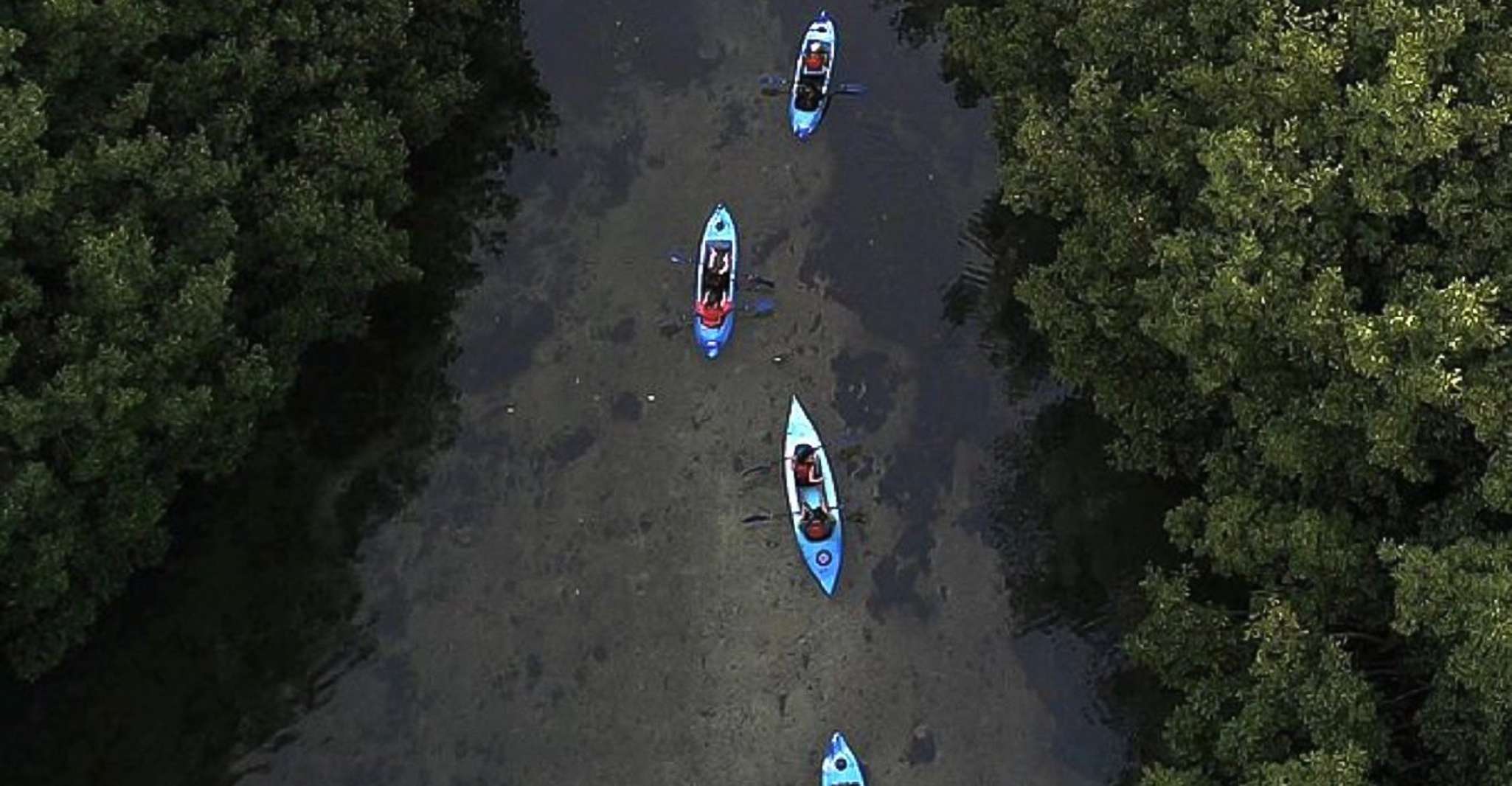 San Juan, Bioluminescent Bay Kayak Adventure by Night - Housity