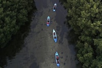 San Juan, Bioluminescent Bay Kayak Adventure di notte - Housity
