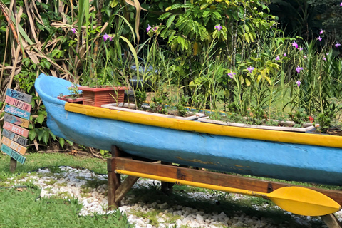 Paraty waterfalls and distilleries Jeep tour Paraty waterfalls and distilleries jeep tour