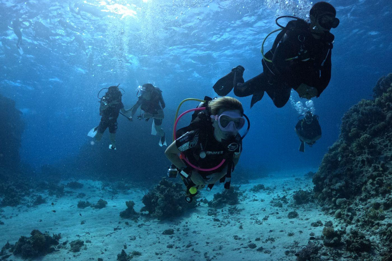 Intro Diving Beginner and Discover Red Sea Underwater