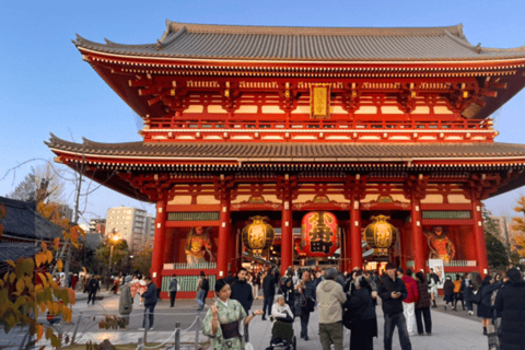 طوكيو في أي مكان تريد! جولة مخصصة في طوكيو في 3 ساعات