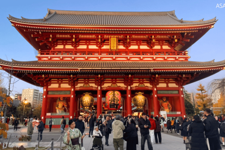 طوكيو في أي مكان تريد! جولة مخصصة في طوكيو في 3 ساعات