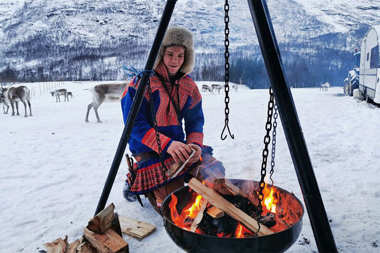 Tromsø: Rendierervaring in sami-kampRendier privé belevenis in sami-kamp