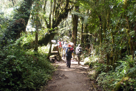 Dagsutflykt till Kilimanjaro nationalpark