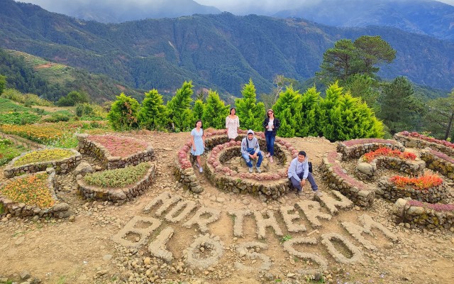Visit Baguio Atok Flower Blossoms (Private Tour) in La Trinidad, Benguet, Philippines