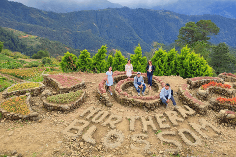 Baguio Atok Flower Blossoms (Private Tour)