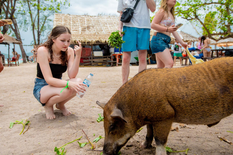 Koh Samui: Avvistamento dei delfini rosa e tour in motoscafo dell&#039;isola di Pig