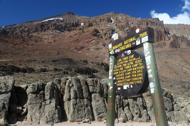 Parque Nacional do Kilimanjaro - 8 dias na Rota de Lemosho