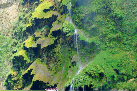 Chiapas: Tour particular de natureza e aventura 5 dias - 4 noitesChiapas: Aventura de 5 dias na fauna e nas cachoeiras