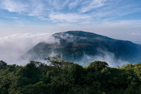 From Bangalore: Between Hindu Shrines and a Sultan's Palace