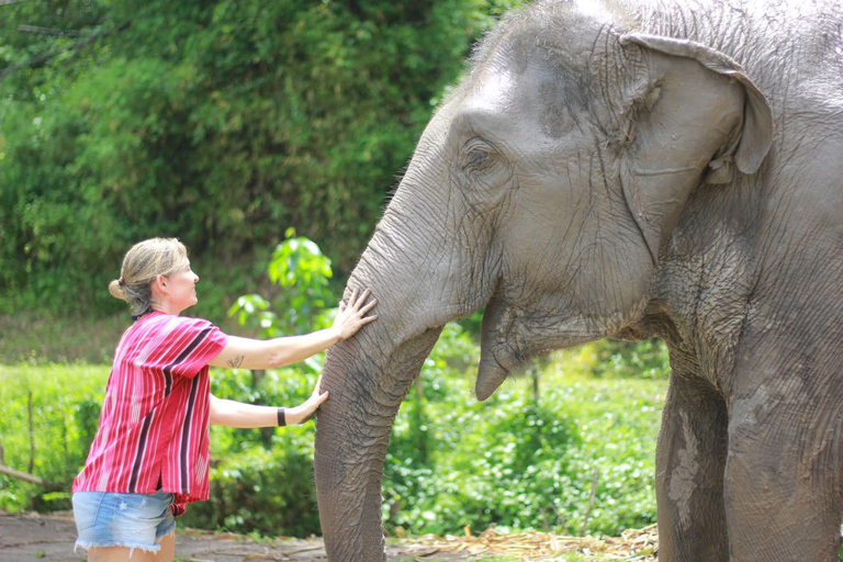 Chiang Mai: Elephant Sanctuary, Waterfall & Bamboo Rafting