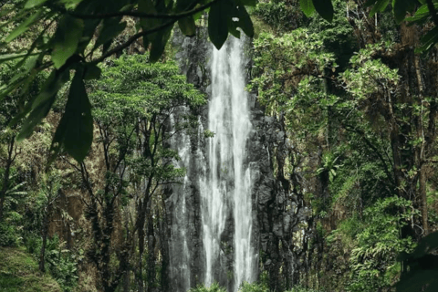 3-Day Materuni Waterfall, Chemka Hot Springs & Lake Eyasi