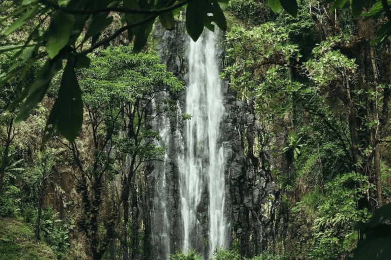 3-Day Materuni Waterfall, Chemka Hot Springs & Lake Eyasi