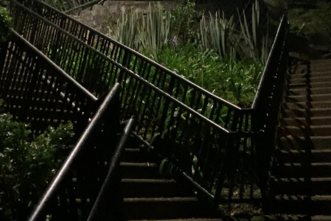 Medellín from the Heights: Private Night Panoramic Tour Medellín from the Heights: Private Night Panoramic Tour