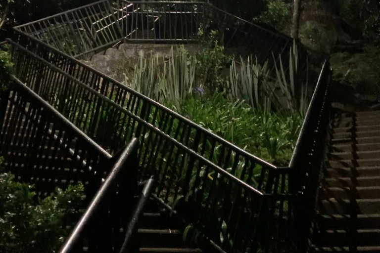 Medellín from the Heights: Private Night Panoramic Tour Medellín from the Heights: Private Night Panoramic Tour