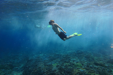 Nusa Penida: Snorkeling Adventure 3-Spots with Manta Rays Nusa Penida: Snorkeling Manta Point 3-Spots with Manta Rays