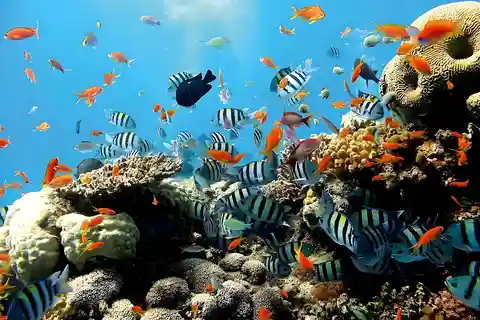 Bali: Blue Lagoon and Tanjung Jepun Snorkeling Tour
