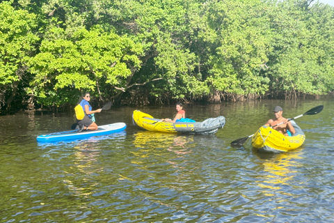 Fort Lauderdale: Kayak & Paddleboard Mangroves Eco Adventure