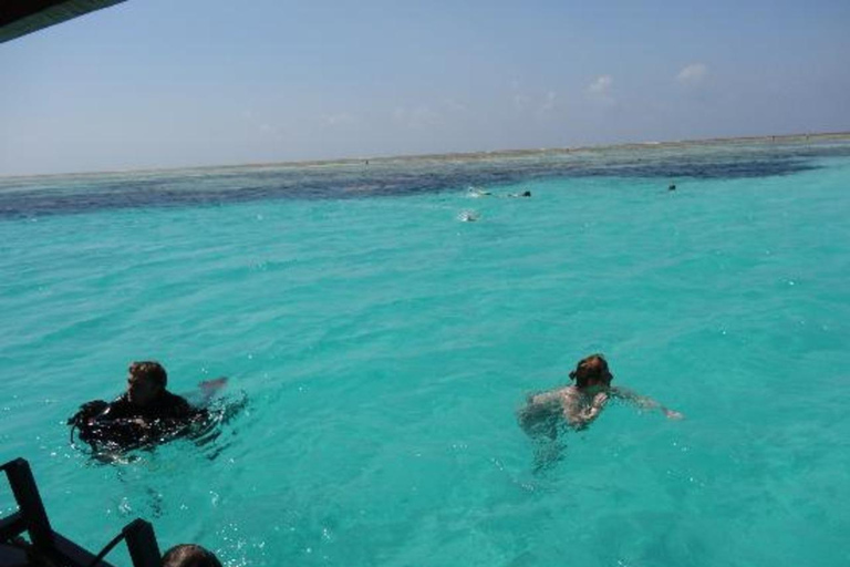 Eco Snorkel Mnemba – Tour com golfinhos, recife sustentável e estrelas-do-marEco Snorkel Mnemba: passeio com golfinhos, recife sustentável e estrelas-do-mar