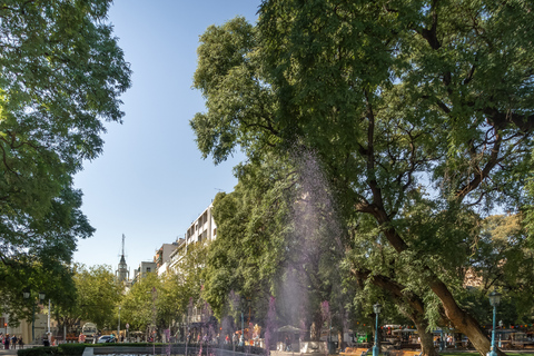 Mendoza: Walking & Wine Tour with Tastings & San Martin Park