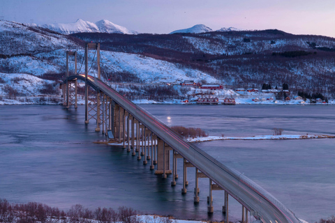 Da Kiruna: Escursione di un giorno alla città di Narvik e ai fiordi