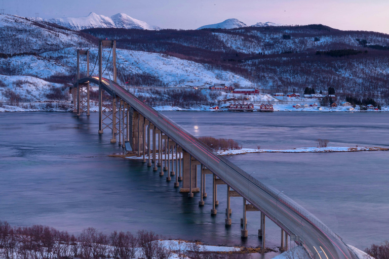 Da Kiruna: Escursione di un giorno alla città di Narvik e ai fiordi