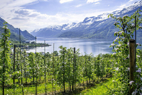 Scenic Hardangerfjord with Waterfalls & Lunch at a Garden 