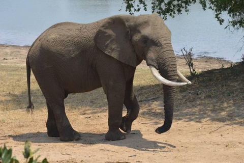 Mosi-oa-Tunya National Park Private Family Safari