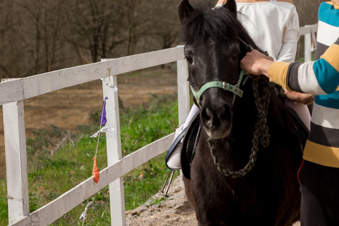 Vilnius: Guided Pony Ride for Young Children