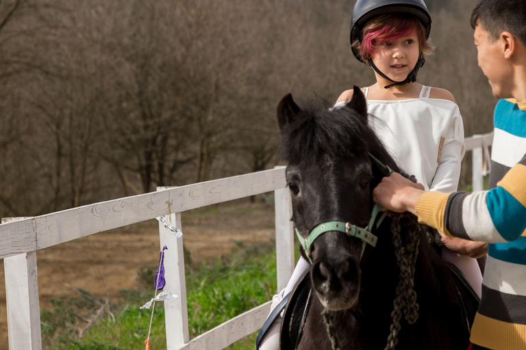 Vilnius: Guided Pony Ride for Young Children
