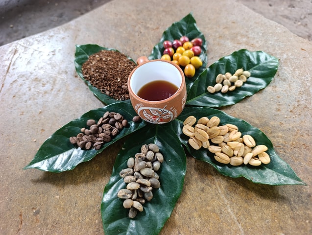 Cusco: Specialty Coffee Tasting-Sensory Experience (2 Hours)