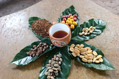 Cusco: Specialty Coffee Tasting-Sensory Experience (2 Hours)