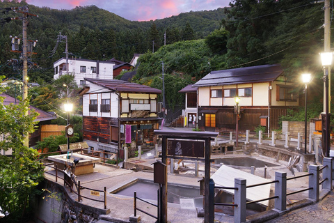 Nagano Tokyo: Snow Monkey Private Day Tour Hotel Pick & Drop Snow Monkey Private Day Tour Hotel Pick & Drop Off In Crown