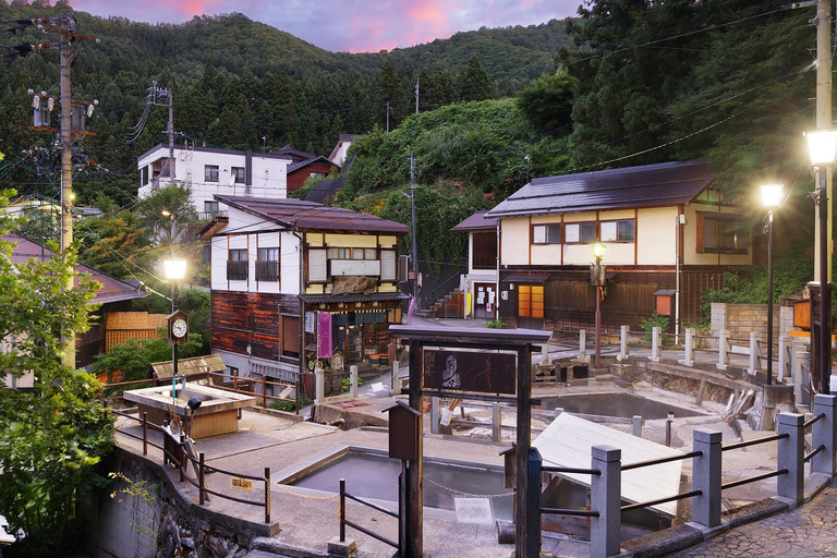 Nagano Tokyo: Snow Monkey Private Day Tour Hotel Pick & Drop Snow Monkey Private Day Tour Hotel Pick & Drop Off In Crown