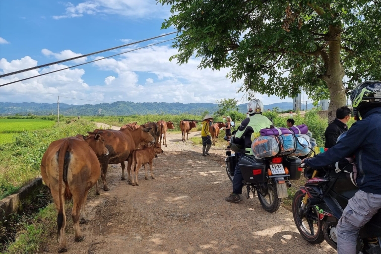 Ho Chi Minh nach Dalat mit dem Motorrad (4 Tage)