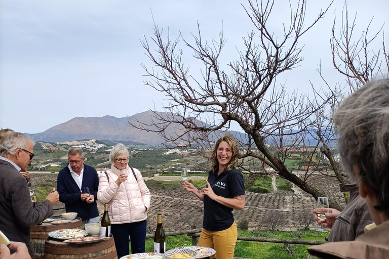 Manilva: Nilva Vineyard, Wine Tasting & Tapas Guided Tour Manilva: Nilva Wine Experience: Wine & Tapas