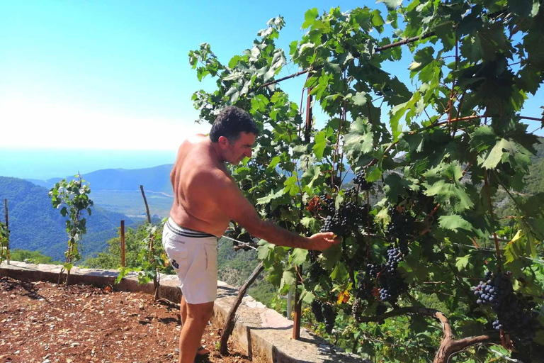 Unique gastro experience with locals in hills above Budva! Unique lunch experience with locals in hills above Budva!