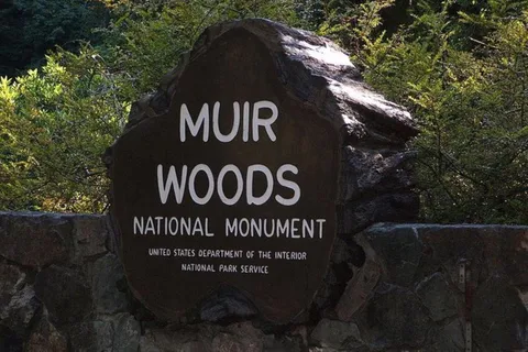 San Francisco : Excursion d'une journée à Muir Woods, Sausalito et Tiburon