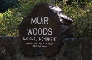 San Francisco: Muir Woods, Sausalito und Tiburon Tagesausflug