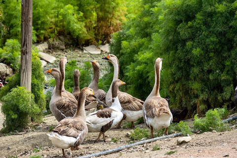 From Durres: Farmland, Vineyard &amp; Wine Tasting Tour