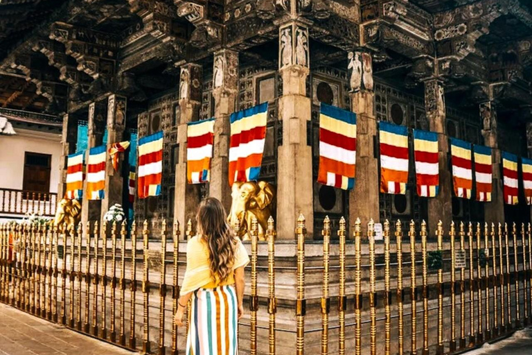 Kandy: Tuk Tuk City Tour Guide