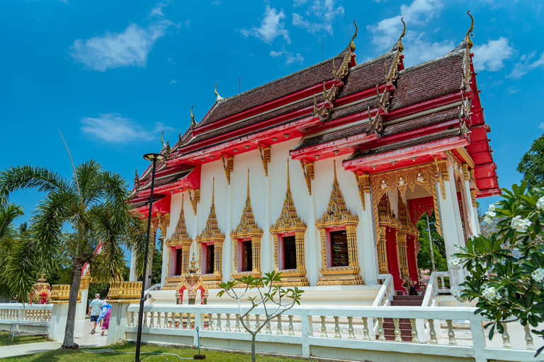 Phuket: świątynia, pomnik ofiarom tsunami, centrum żółwi i słoniePhuket: Temple, Tsunami Memorial, Turtle Center &amp; Elephant