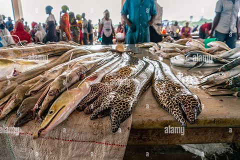 Vanuit ZANZIBAR: Per boot Dar es Salaam Privé stadsrondleiding